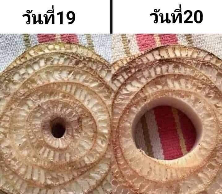 น้ำหนักกับอายุเป็นเพียงตัวเลข tweet media