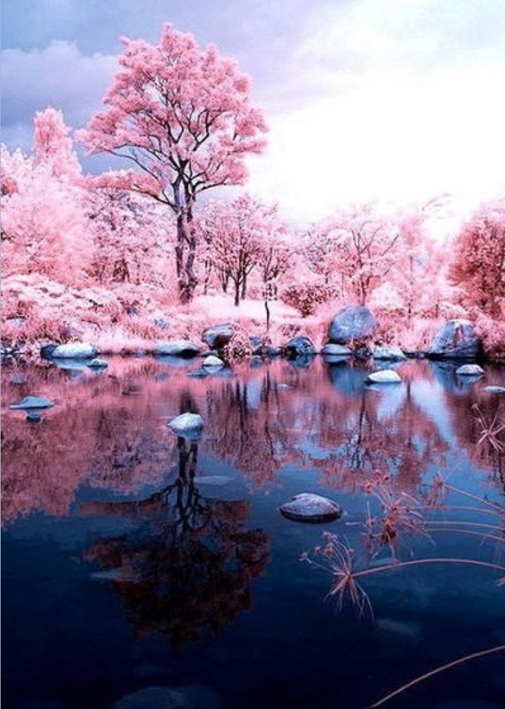 arkanl_neriman's tweet photo. 📷 Pinterest..#NaturePhotography https://t.co/Wzoo88hfji