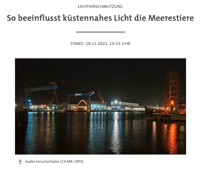 GEOMAR_de's tweet photo. Hat Lichtverschmutzung Auswirkungen auf Bodenlebewesen des Meeres? Interview mit Projektleiter Dr. Mark Lenz vom #GEOMAR zum #GAMEProgrammeGEOMAR auf @swr2wissen https://t.co/oKhBgcodl6 https://t.co/x2kK81iPan