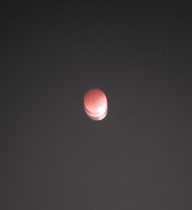 ロースハムのtwitterイラスト検索結果