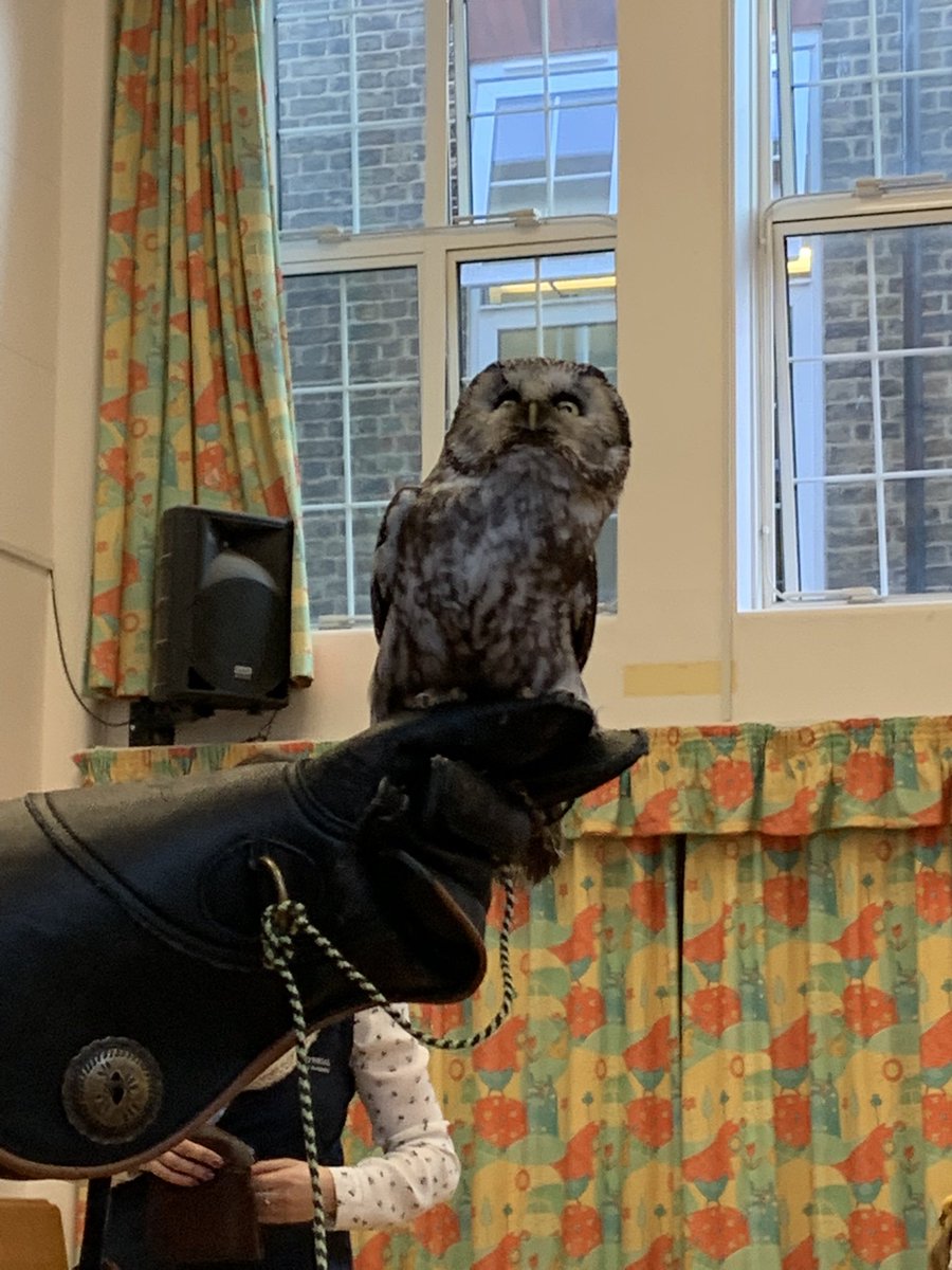 MrsJemson tweet media