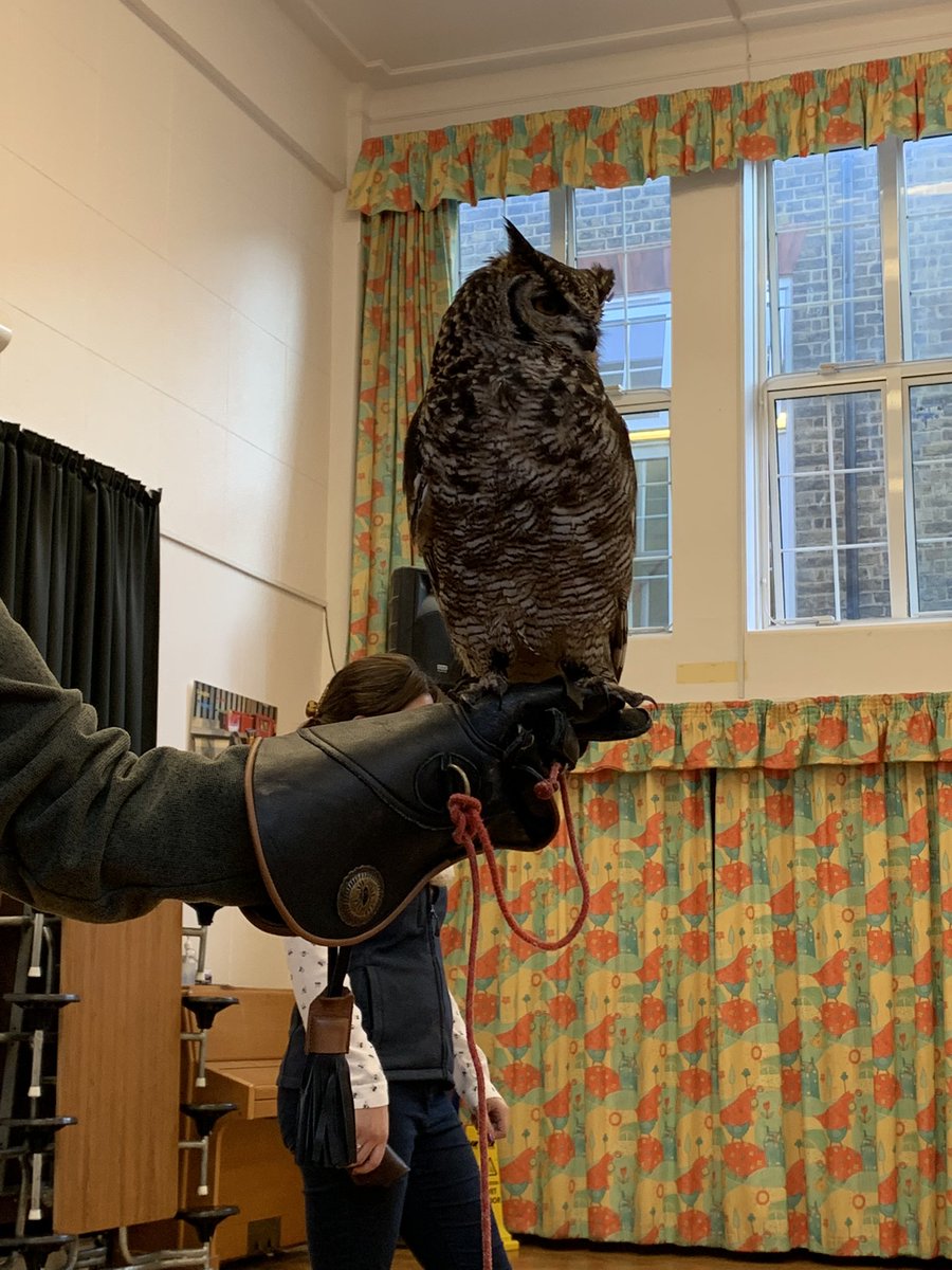 MrsJemson tweet media