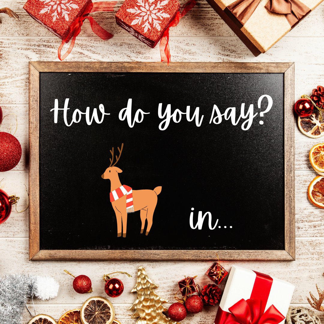 mistletown's tweet photo. The Christmas Season is the best time to spread joy around you! So in the next few weeks, we’ll show you how to write Christmas-themed words in 10 different languages.
Today’s word is REINDEER. Check out our last Instagram post: https://t.co/2V54ePmW1O https://t.co/HwmHzOc23a