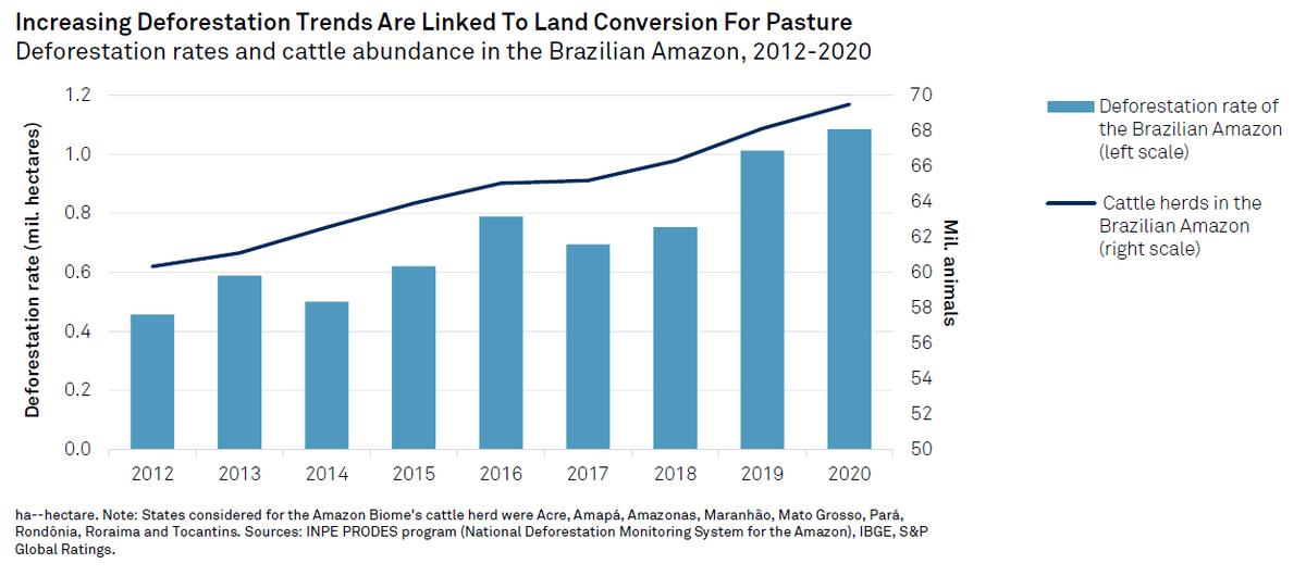 At this years #COP26 meeting, many asset managers, corporations, and policymakers embraced a much broader theme: Preserving and harnessing #nature to fight climate change. ow.ly/bFNJ50GQcFg #Sustainable1