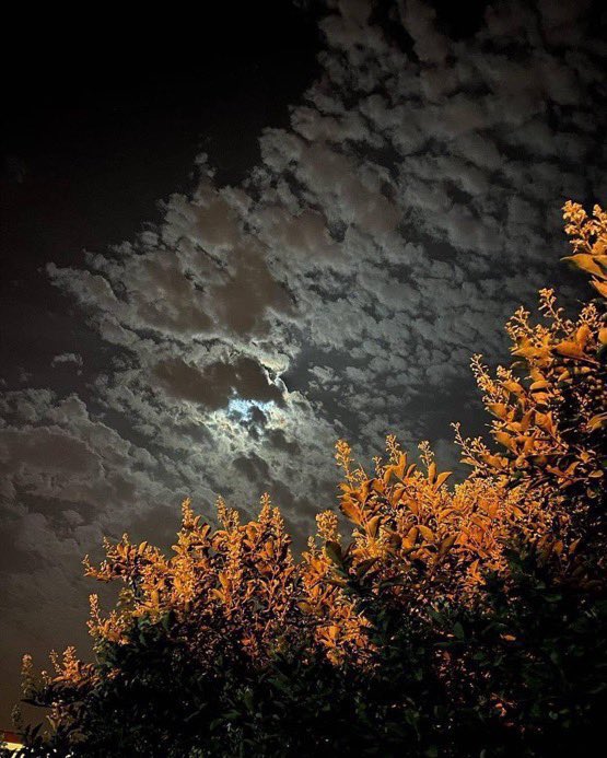 يحدثك القلب المؤمن بانقشاع الظلمة مهما طالت وتدعوك النفس للأحزان واليأس وتقارعها الروح المحبة لله الكريم والآمال بغدٍ مشرق ودربٍ عظيم وتتمتم الشفاة بيا الله ياذا الجلال والإكرام ياقادر يارحيم فتتقوى الروح ويجلو  اليقين عتمة الاحساس وتبزغ ابتسامة القلب والعيون وكلنا ثقة بك ياقيوم