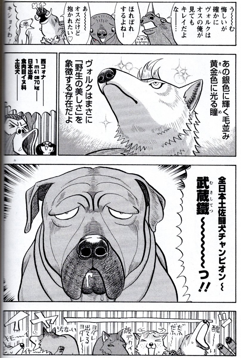 闘犬のチャンピオンと狼の闘いもありますよ。どちらが強いのか⁉︎》真・異種格闘大戦 : 3 (アクションコミックス) https://t.co/jNS13E6bm2 