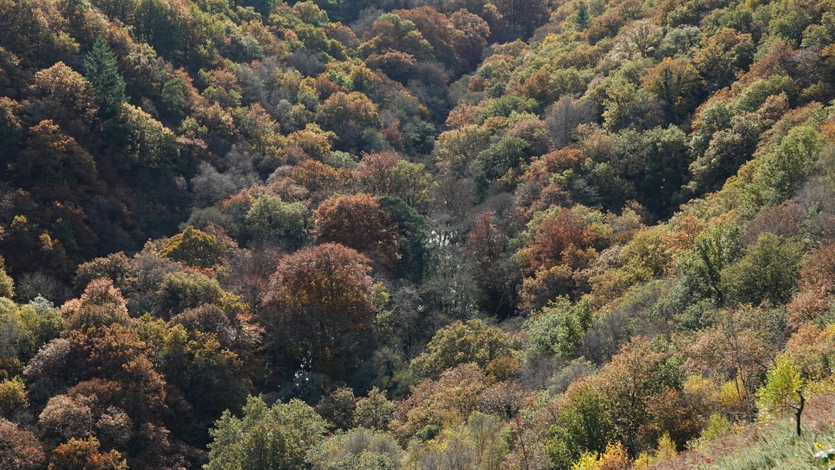Dartmoor's Castle Drogo: