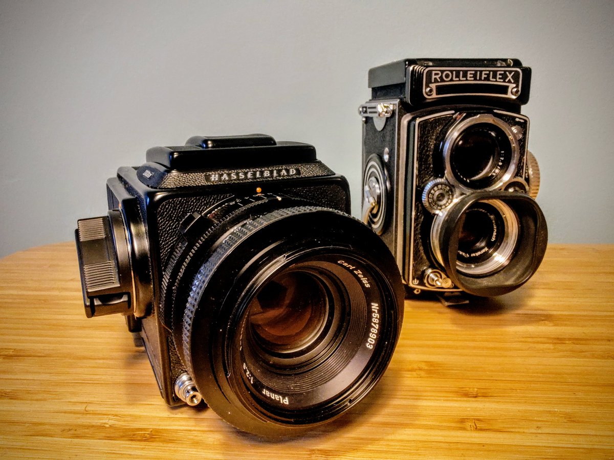 BeardedGuyPhoto's tweet photo. Just two friends casualy hanging out at my desk 😁
#hiptobesquare
#dreamcamera https://t.co/P1h0kEsXJi