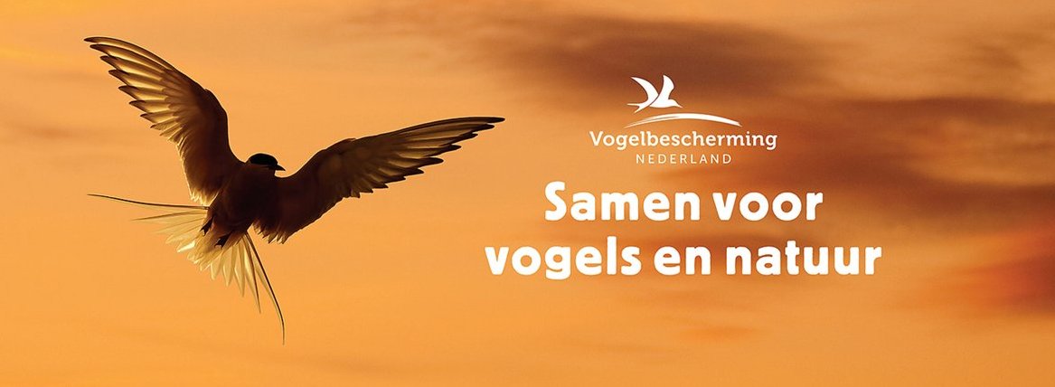 GroeneRuimte's tweet photo. #vacature @vogelnieuws: Senior medewerker Public Affairs bij Vogelbescherming Nederland in Zeist #lobbyist #netwerker #natuurbescherming #advies. Zie https://t.co/YE8lzKEGMx https://t.co/beTvGHsFFk