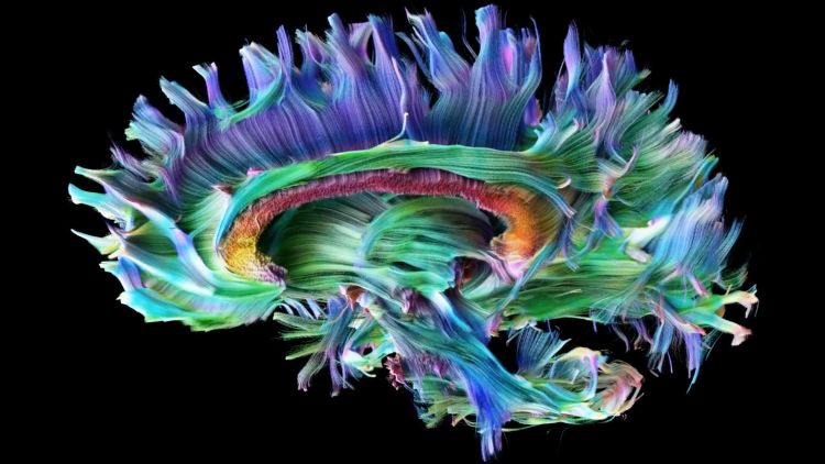 CUBRICcardiff's tweet photo. Calling all AS/A Level Psychology teachers! 🎓 CUBRIC will be hosting an online Schools Day on Monday 13th December from 13:00, providing brain imaging equipment demonstrations for pupils 🧠🔍👀 If interested, please email cubric@cardiff.ac.uk for more details. Please retweet! 🎉 https://t.co/oHjQQlh3Lu