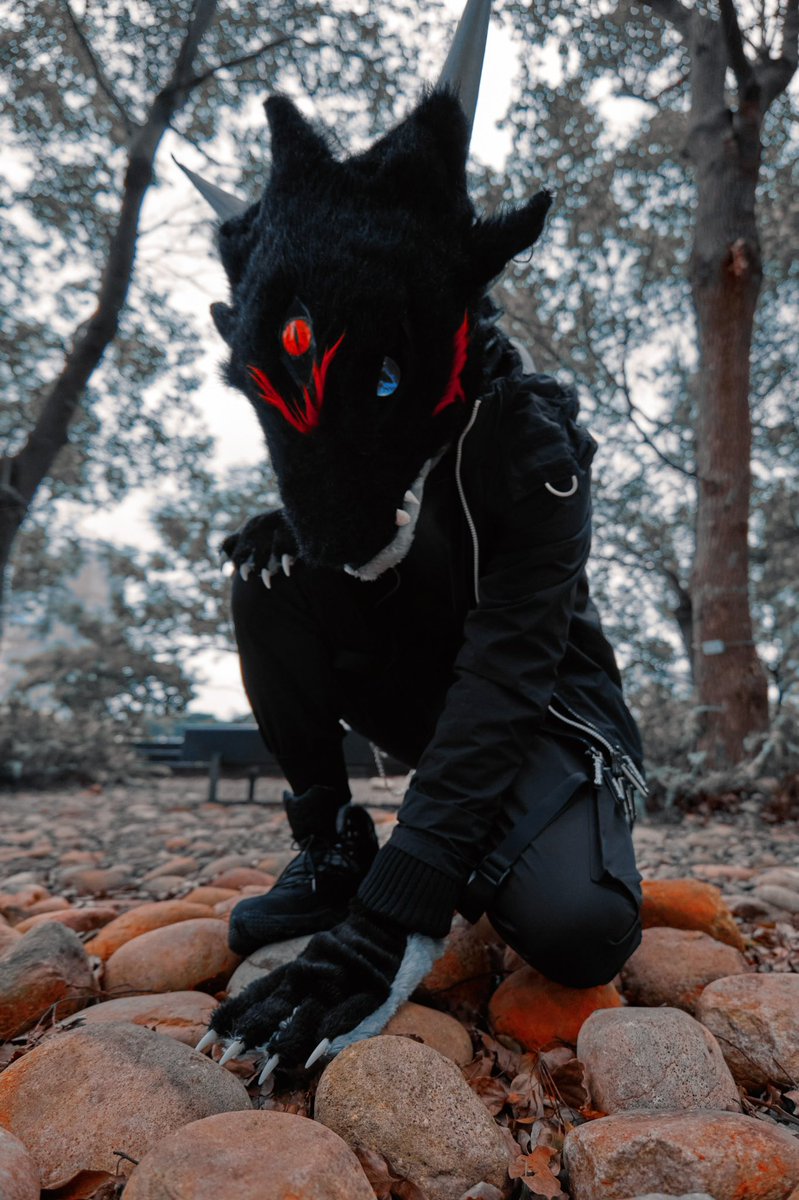Dimiyate's tweet photo. Wanna join one of these gravestones?
📷:@skeknun
🐉:#Dimiyate
#FursuitsFriday
#DMYT https://t.co/KoVce2FtV9