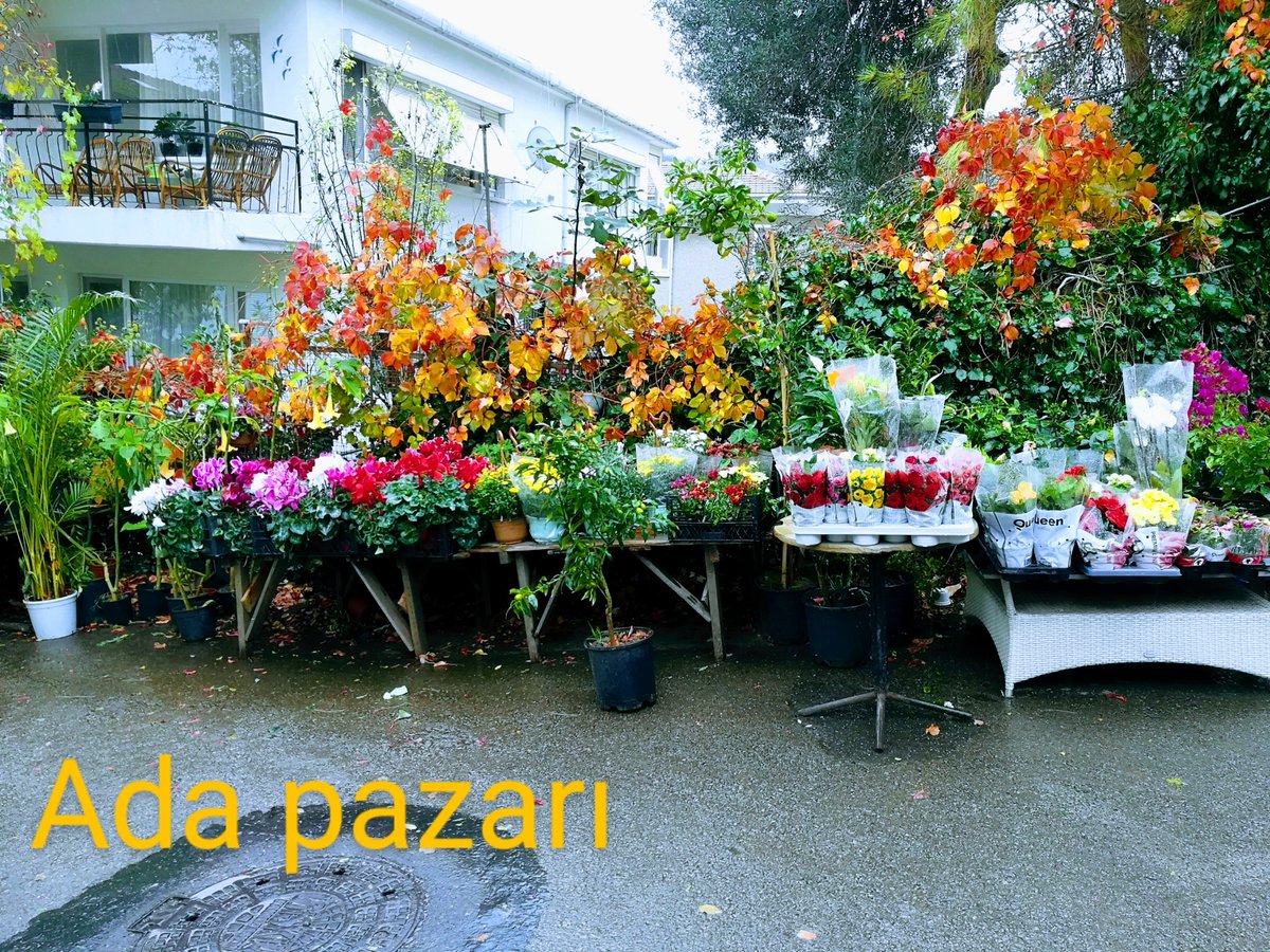 Ada pazarının güzelleri 🤗 #andigoni #αντιγόνη #burgazada #streetmarket #pazar #λαϊκή