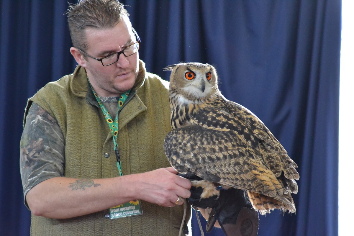 SchoolWoodfield's tweet photo. Class 1 had a 'hoot' this week! We continued our learning about owls whilst observing real owls in school. We were even lucky enough to hear a kookaburra laughing! You could say they were 'owl' ears for whole hour! :-) #activelearning #owls #ks1 #eyfs https://t.co/SqlCurX6I7