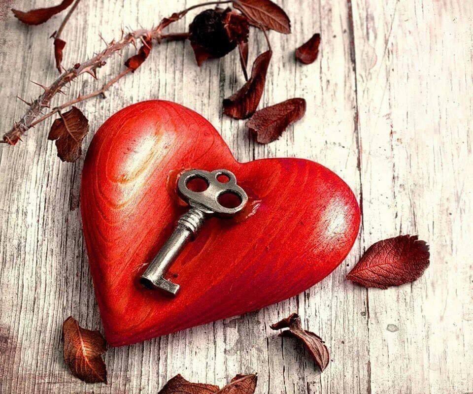 La cerradura del corazón tiene una sola llave.❤