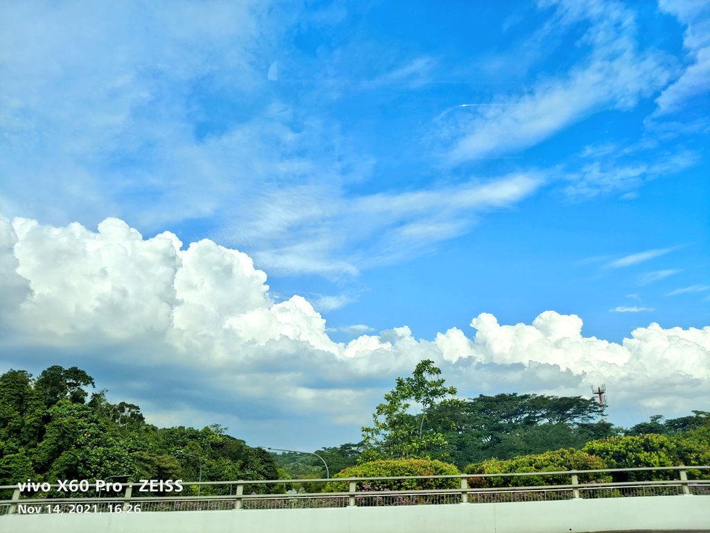 #movingvehiclephotography scenes at the Bukit Timah Expressway in #Singapore #trees #greenery #naturephotography #nature #beautiful #sky #clouds #Scenery