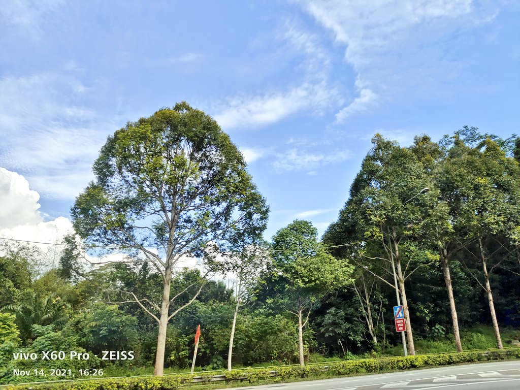 ClarindaYap's tweet photo. #movingvehiclephotography scenes at the Bukit Timah Expressway in #Singapore #trees #greenery #naturephotography #nature #beautiful #sky #clouds #Scenery https://t.co/tZxowWVkbk