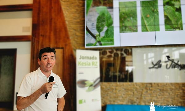 jaarcossanchez's tweet photo. 🔝🔝🔝 La nueva 🍆 #KesiaRZ de @rijkzwaanES facilita la instalación de 'bichos' gracias a su piel lisa y sin vellosidades, lo que redunda en menos tratamientos y en frutos más limpios y sin residuos https://t.co/n50BMxQ0Ca
Campojoyma apuesta por esta #berenjena
#cleanleaf 🌱👩🌾 https://t.co/dgkdUh7LnG