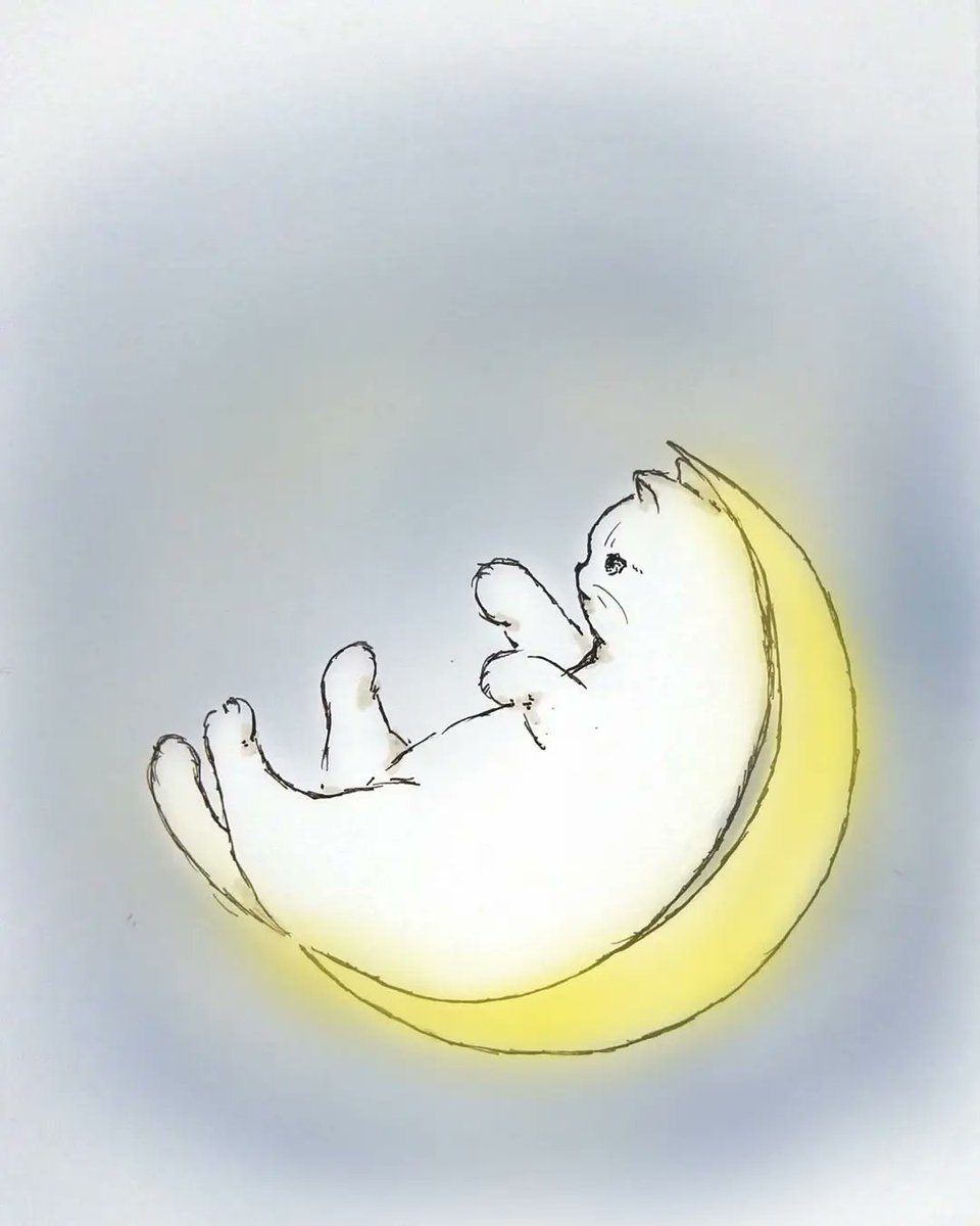 dodo on X: 