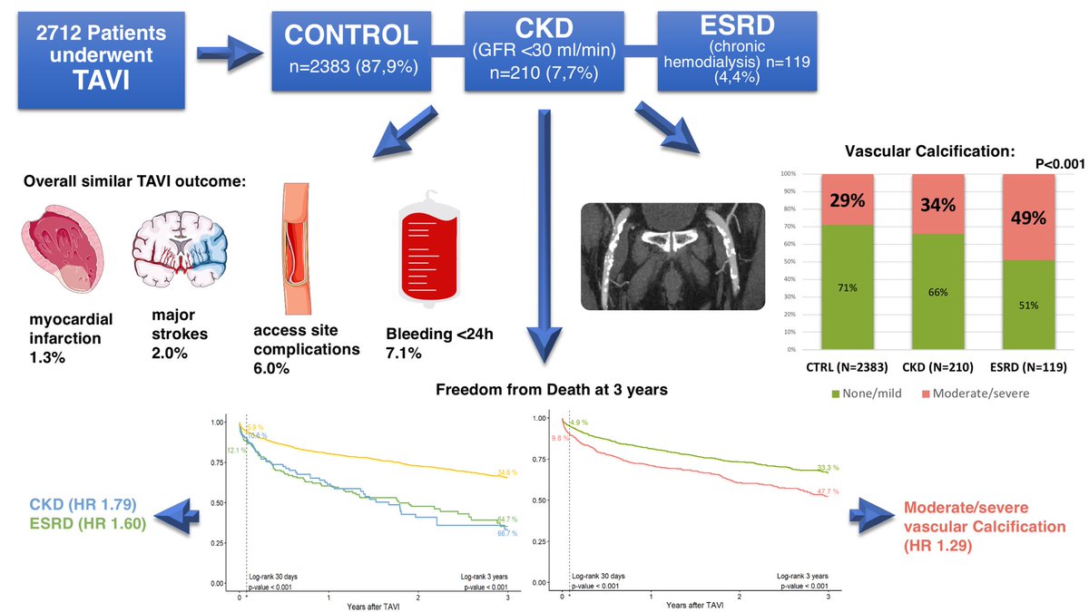 davidgrundmann1's tweet photo. "End-stage renal disease, calcification patterns and clinical outcomes after TAVI"  https://t.co/Wc44SsGmXq published @SpringerNature Clinical Research in Cardiology 🫀 🙏🏻 to all authors! @MoritzSeiffert @NiklasSchofer @dirkwestermann @matthias_linder @SebLudwig1 @larawald https://t.co/wELaYo1A8C