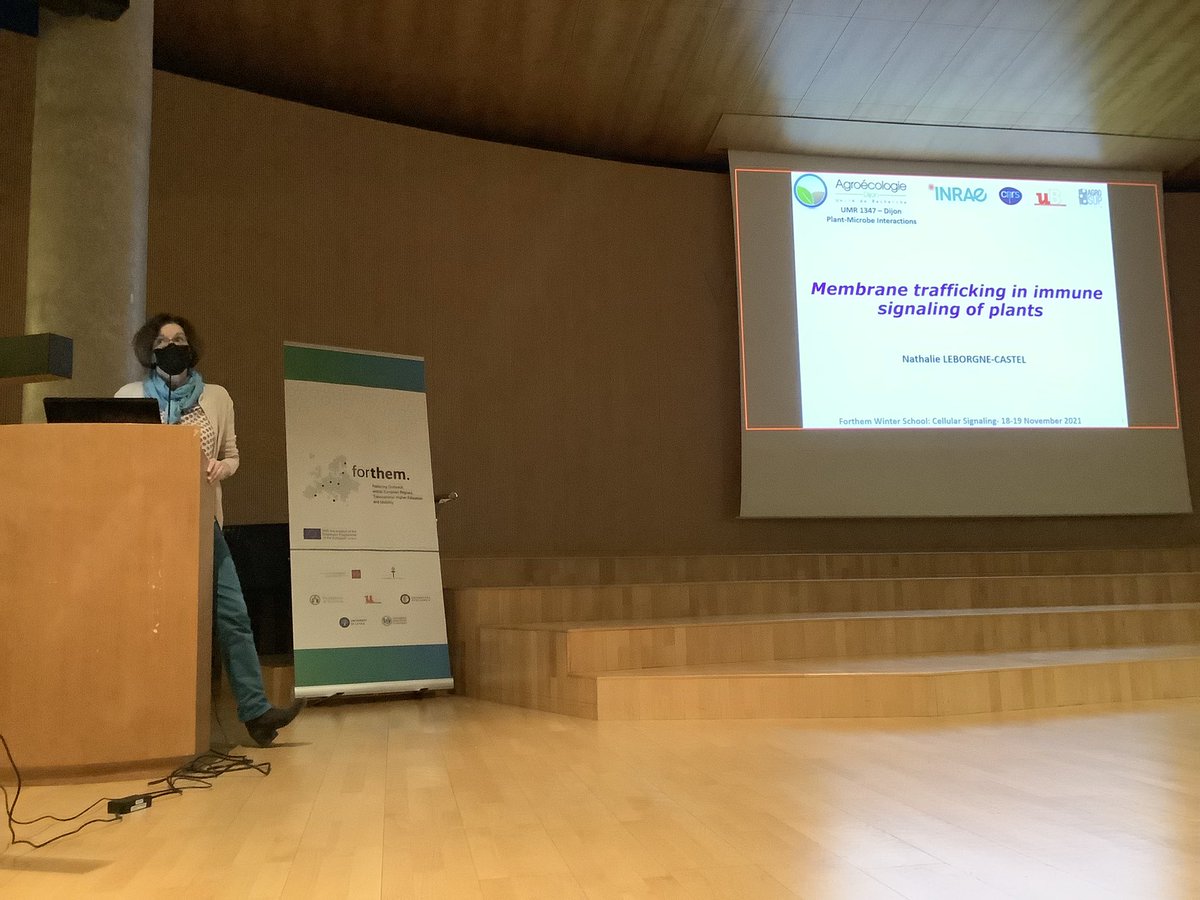 IsmaelMingarro's tweet image. #NathalieLeborgneCastel lecturing about membrane trafficking in plants #CellularSignaling @FORTHEMAlliance #WinterSchool