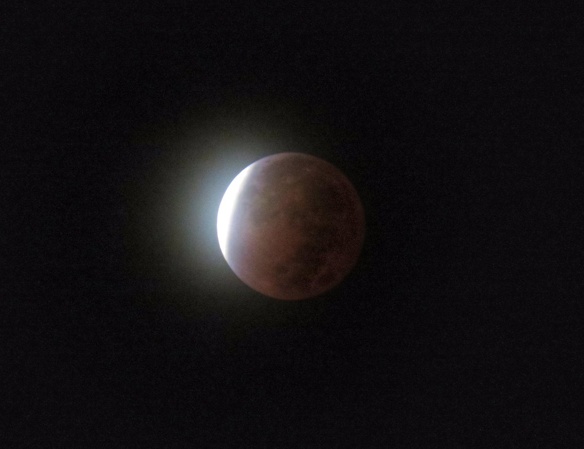 cccougar's tweet photo. I wasn’t planning to try to see the lunar eclipse this morning but I felt surprisingly well-rested at 4 a.m. when I awoke. So out the door I went! Twas a cool sight to see! #eclipse #LunarEclipse2021 #LunarEclipse #couldntgobacktosleep https://t.co/jo3cc5MtLc