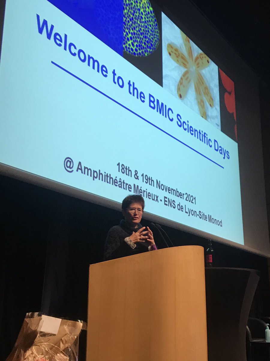 BMIC - congrats from PhD students : « Thank you Françoise Monéger for your dedication to BMIC doctoral students over the past 6 years ». MERCI pour TOUT, TOUS &amp; TOUTES !