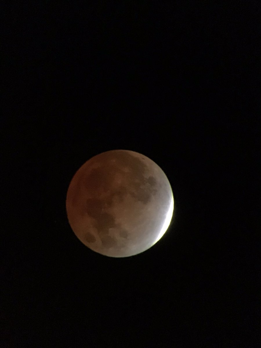 hollyastuart's tweet image. Lunar Eclipse November 2021!

Freezing cold? ✅
Early in the morning? ✅
Telescope ready? ✅

Totally worth it? ✅

#teachbetter #stuartscience #tlap #expeditionscience #LunarEclipse2021 #dailySTEM #STEM