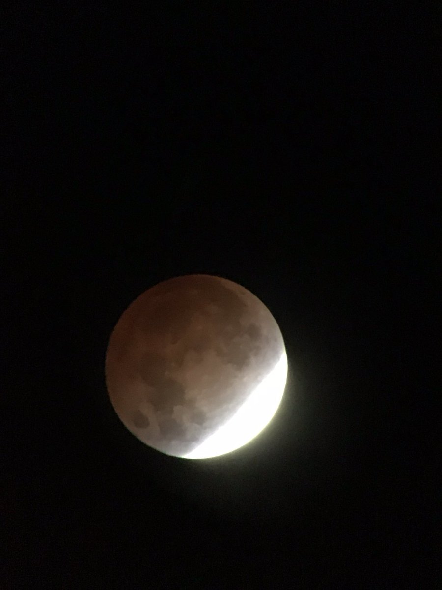 hollyastuart's tweet image. Lunar Eclipse November 2021!

Freezing cold? ✅
Early in the morning? ✅
Telescope ready? ✅

Totally worth it? ✅

#teachbetter #stuartscience #tlap #expeditionscience #LunarEclipse2021 #dailySTEM #STEM