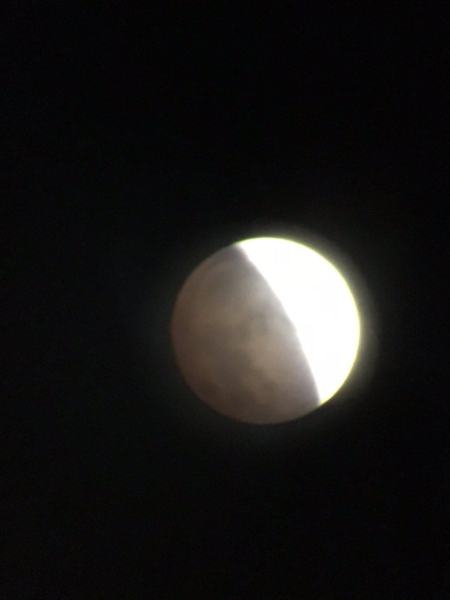 hollyastuart's tweet image. Lunar Eclipse November 2021!

Freezing cold? ✅
Early in the morning? ✅
Telescope ready? ✅

Totally worth it? ✅

#teachbetter #stuartscience #tlap #expeditionscience #LunarEclipse2021 #dailySTEM #STEM