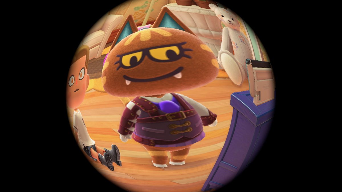 Sibcat_anything tweet media