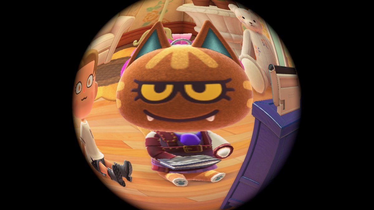 Sibcat_anything tweet media