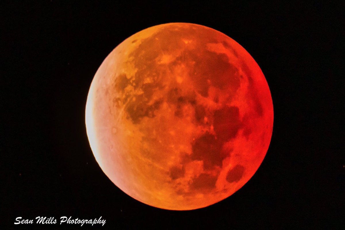 MillsRandone's tweet photo. Full ‘Beaver’ Moon. The longest lasting lunar eclipse in 580 years. #eclipse #moon #luna #astronomy #astrophotography #LunarEclipse2021 #beavermoon #fullmoon https://t.co/AMwS6ZwtdH