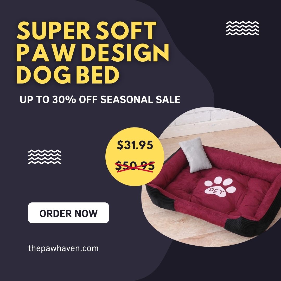 SUPER SOFT PAW DESIGN DOG BED ($31.95)

Buy it now: bit.ly/30D1Lg7
Email now: jos@thepawhaven.com

#ThePawhaven #DOGBED #petbed #dogaccesories  #dogsleepbed #Singapore