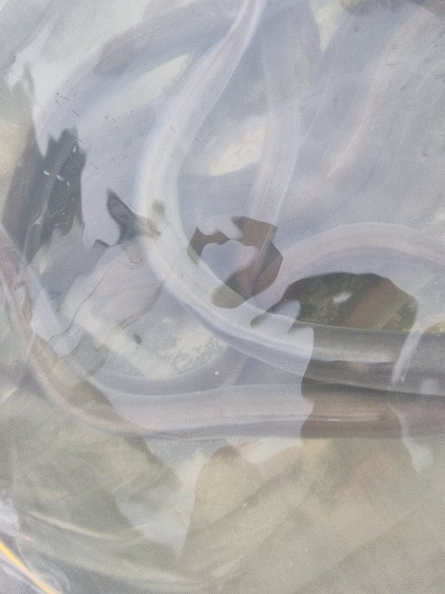 𝕀𝕟𝕤𝕚𝕝𝕚𝕔𝕠 Very poor & Very stupid tweet media