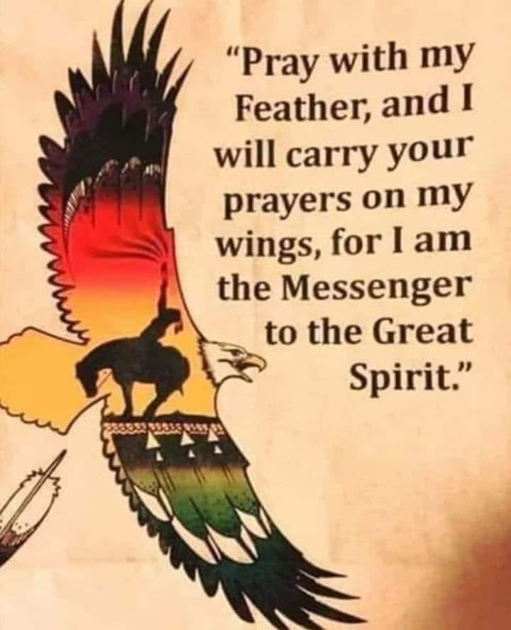 BrianThomasFish's tweet image. 