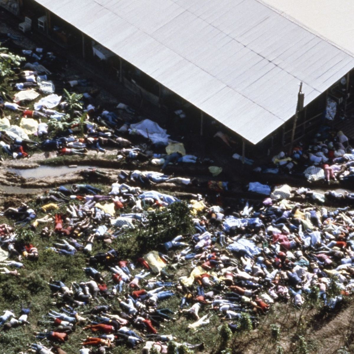PExtjs's tweet image. Hier, c'était le 43e anniversaire du massacre de Jonestown. Le 18 novembre 1978, le monde est ébranlé par le suicide collectif de plus de 900 membres de la secte fondée par Jim Jones, le Temple du peuple (à la base une communauté chrétienne communiste). 1/4