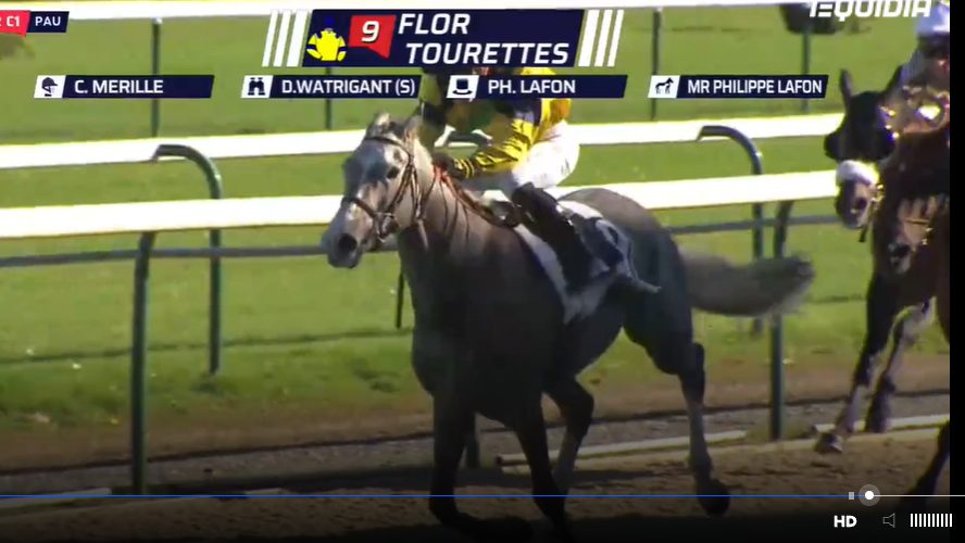 PAU, le 19.11.2021 - PRIX GUY DE WATRIGANT
Belle victoire de Flor Tourettes sous les couleurs de Ph. LAFON