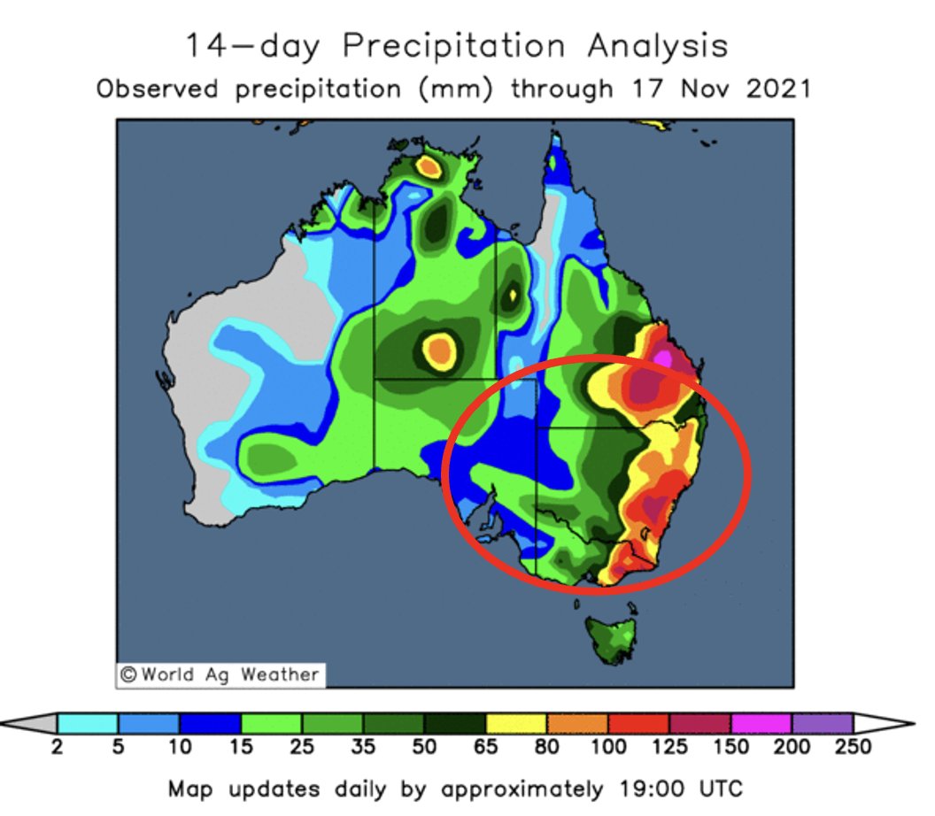 Andrey Sizov tweet media
