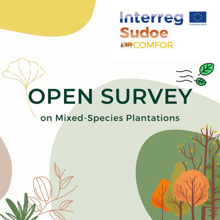 ecoacsa's tweet photo. Estamos recabando ℹ️ y datos para ayudar a profesionales d #sectorforestal a diseñar y mantener c/éxito #bosquescomplejos y #plantacionesmixtas, ¿nos ayudas completando esta consulta? GRACIAS por colaborar y correr la voz 📢‼️
https://t.co/NzqOwSSQG0
#complexforests 🌳🍂🍃🌲 https://t.co/i6QlQz5R8Q