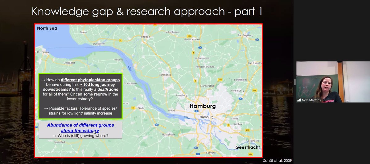 Our second speaker at our Friday seminar series is IMF PdD student Nele Martens. 

She's investigating the role and community composition of (pico)phytoplankton in the Elbe Estuary 🧫🌊