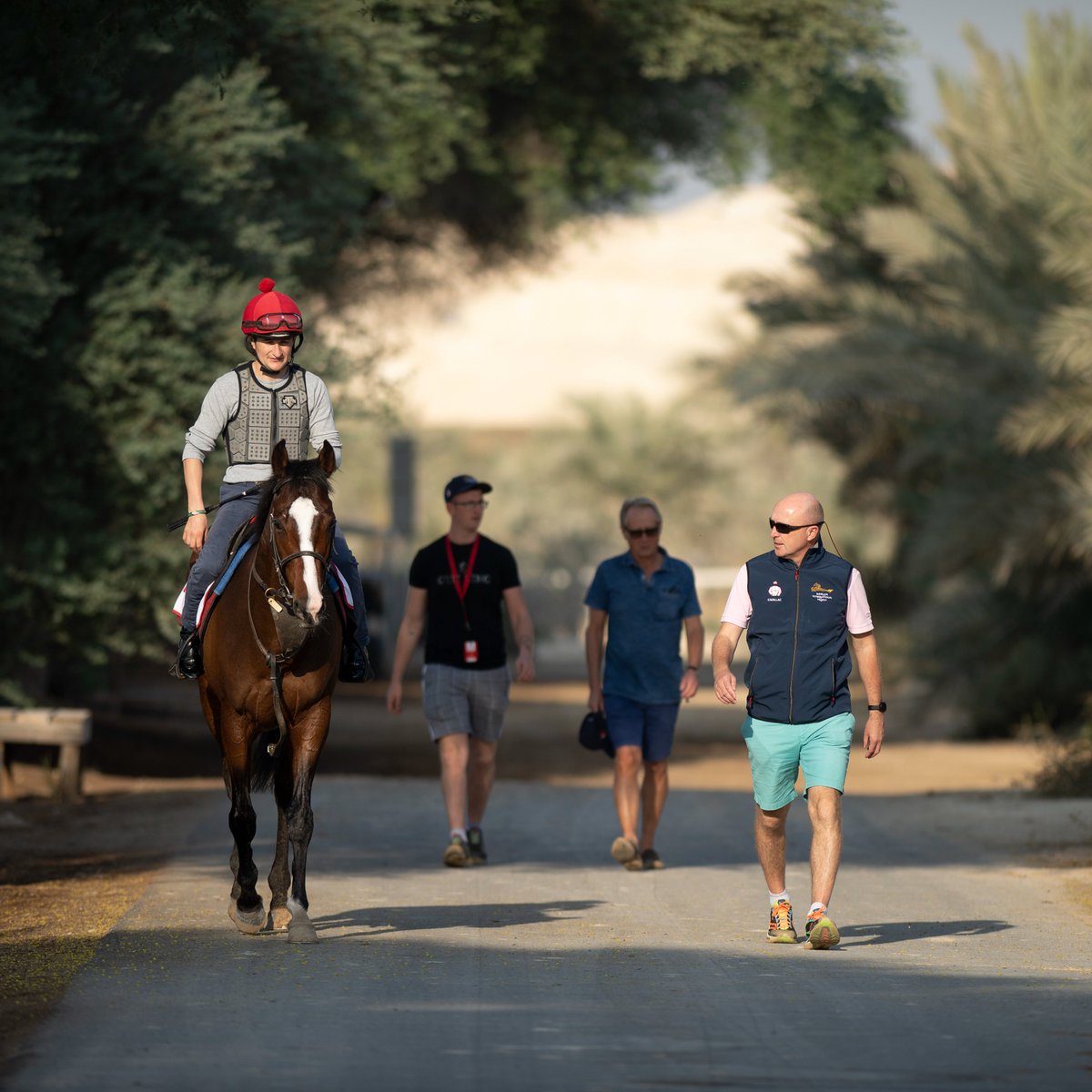 Horse Racing Ireland tweet media