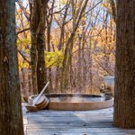 ツイートに含まれる画像