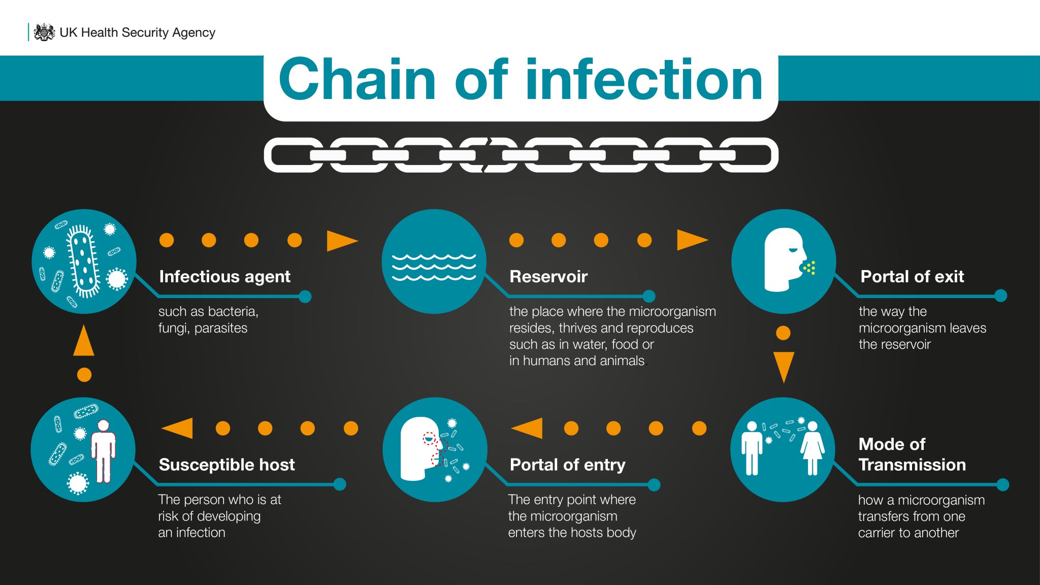 uk-health-security-agency-on-twitter-thread-the-chain-of