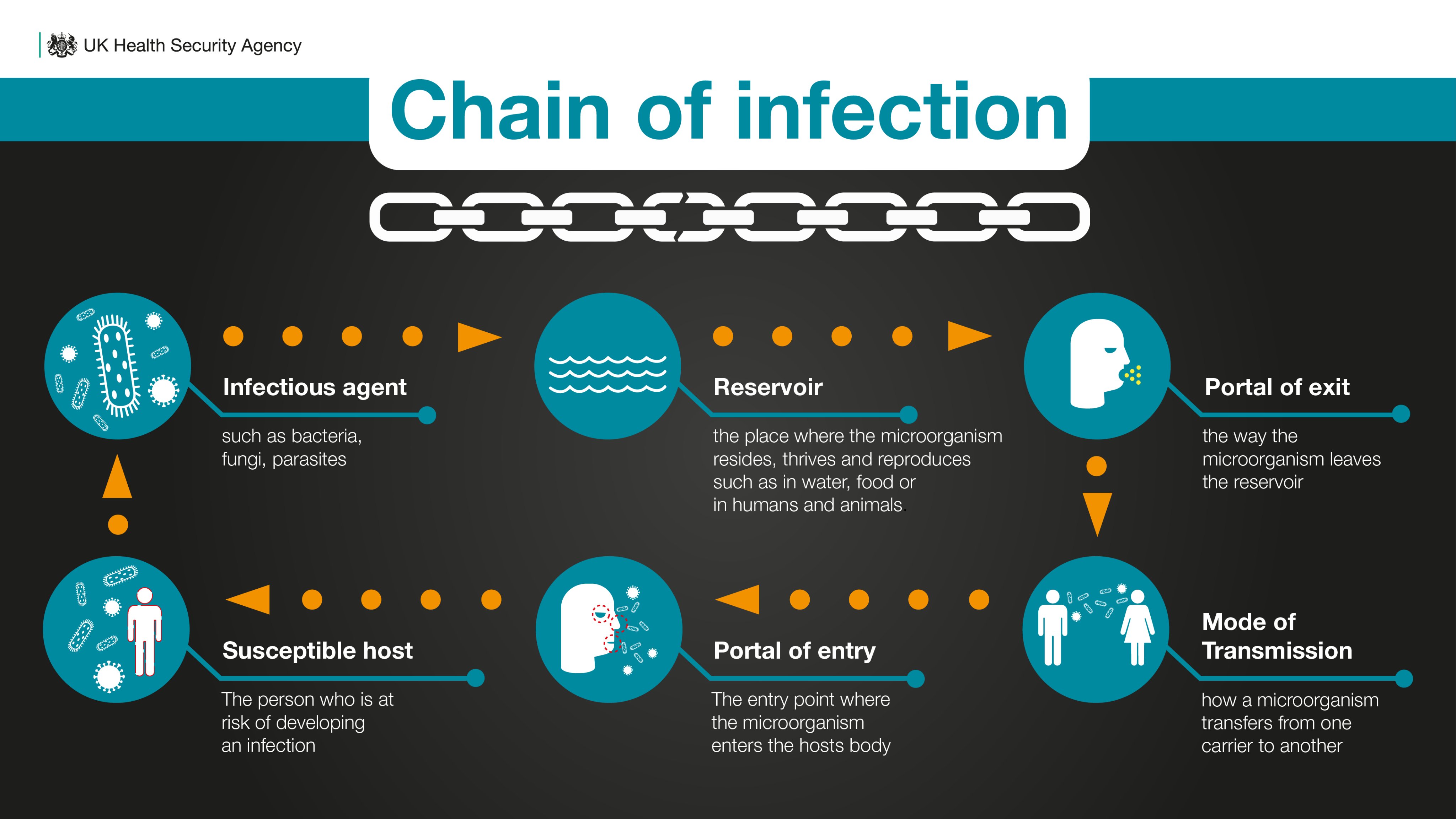 Mrsa Exit Portal: What Doctors Aren'T Telling You - b07wg0n