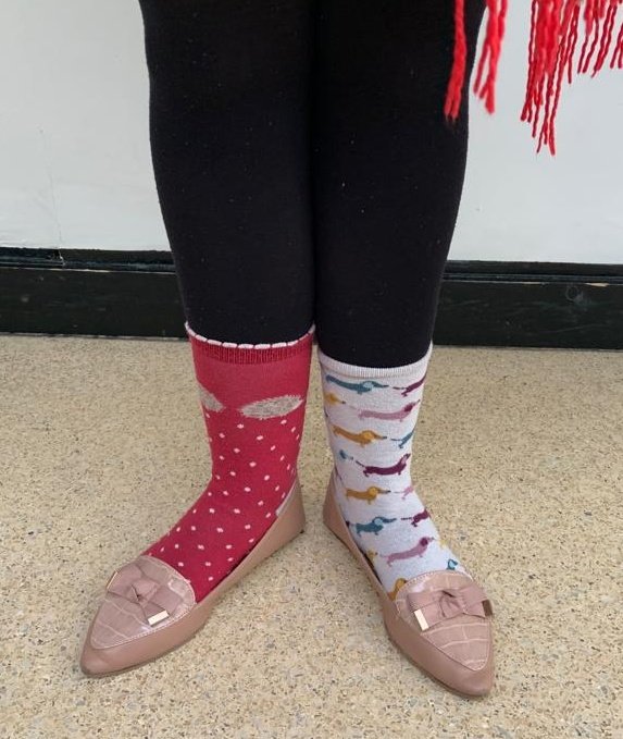 Academy of St Francis of Assisi tweet media