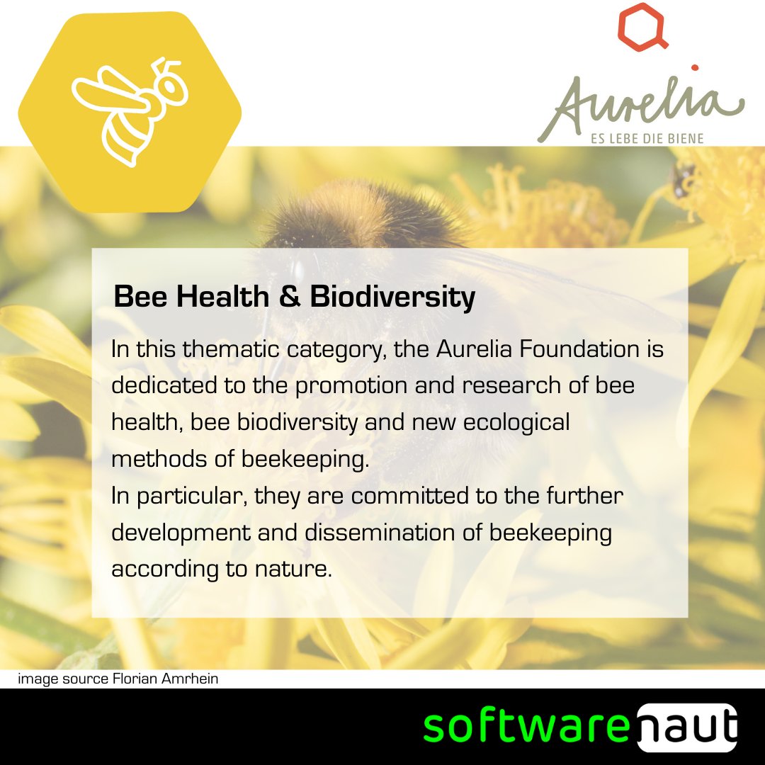 softwarenaut's tweet photo. #Letsbeegreen 🐝 Spendet jetzt für @EsLebeDieBiene und macht die Black Week zur Green Week! 
1/4: Bienengesundheit &amp; Artenvielfalt!

Spendet unter https://t.co/l5rZaFtcbB 

#beyondprofit #ITsocialenterprise #softwarenaut #eslebediebiene #greenweek #blackfriday #blackweek https://t.co/qZeOkHFE7y