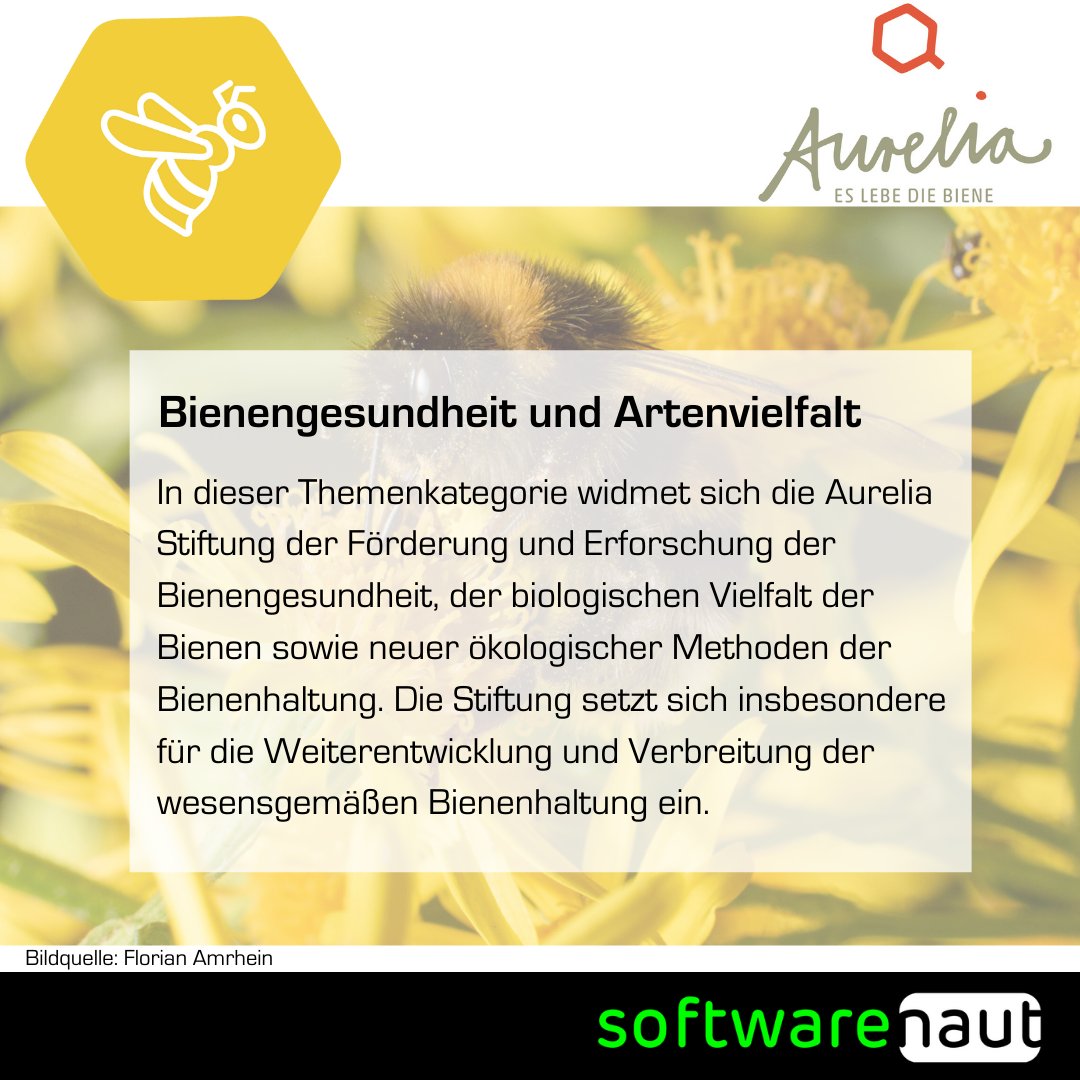 softwarenaut's tweet photo. #Letsbeegreen 🐝 Spendet jetzt für @EsLebeDieBiene und macht die Black Week zur Green Week! 
1/4: Bienengesundheit &amp; Artenvielfalt!

Spendet unter https://t.co/l5rZaFtcbB 

#beyondprofit #ITsocialenterprise #softwarenaut #eslebediebiene #greenweek #blackfriday #blackweek https://t.co/qZeOkHFE7y