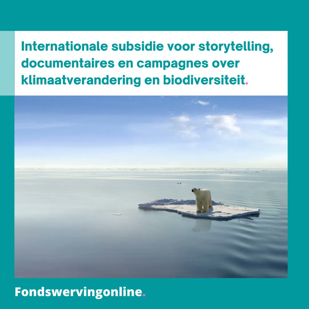 TenPages's tweet image. COOL: INTERNATIONALE SUBSIDIE VOOR STORYTELLING, DOCUMENTAIRES EN CAMPAGNES OVER KLIMAATVERANDERING EN BIODIVERSITEIT

Zie: buff.ly/3Cx4DId

#subsidie #fondsen #klimaat #klimaatverandering #biodiversiteit #documentaires #verhalen #storytelling #subsidy #funds #climate