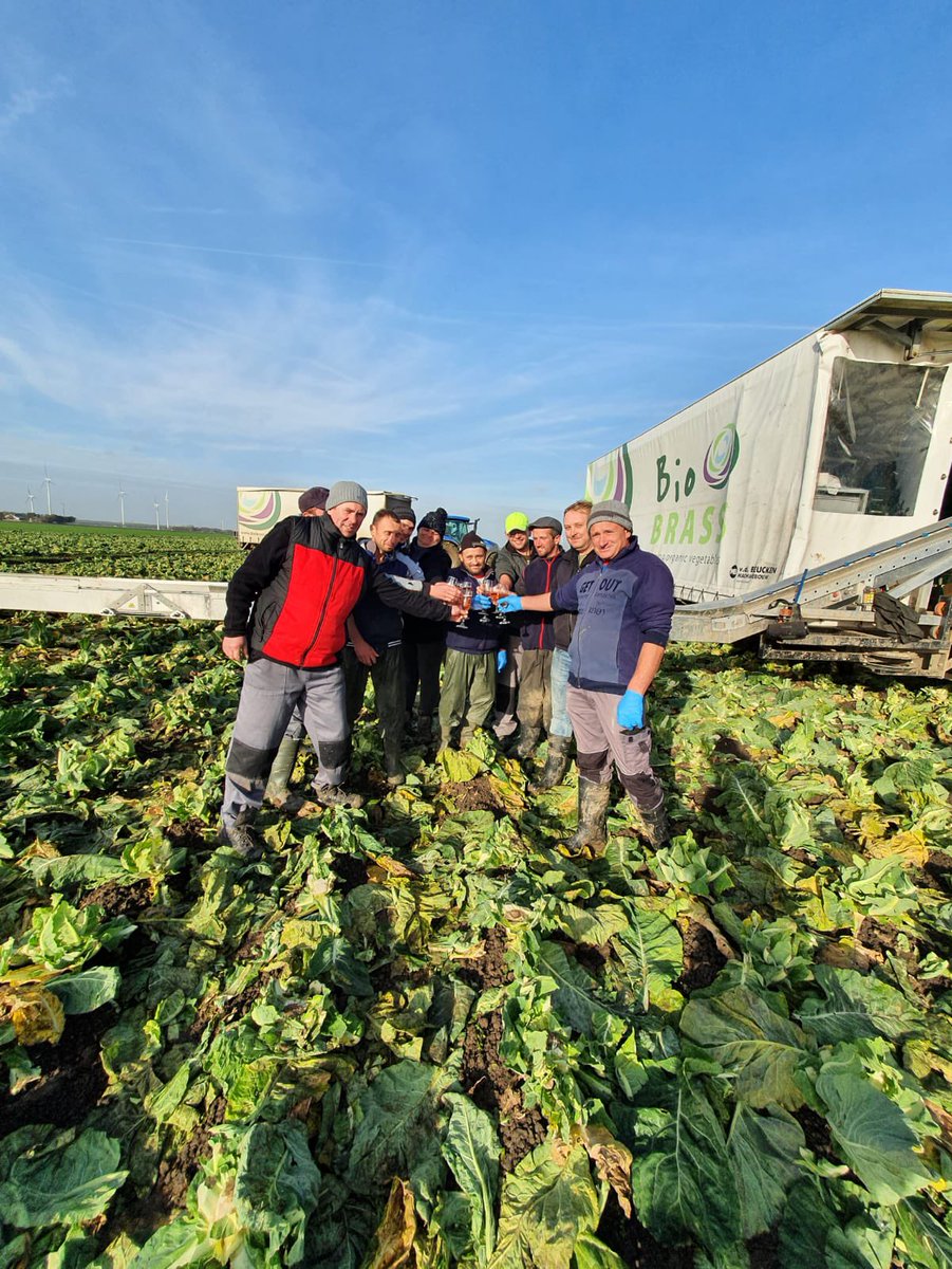 Gerjan Snippe tweet media