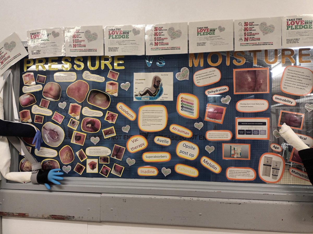 kathrynglass66's tweet photo. @WWLNHS #TeamShevington and #TeamAstley fantastic boards, well done to you all ππππππ https://t.co/XB04tYDLQ9